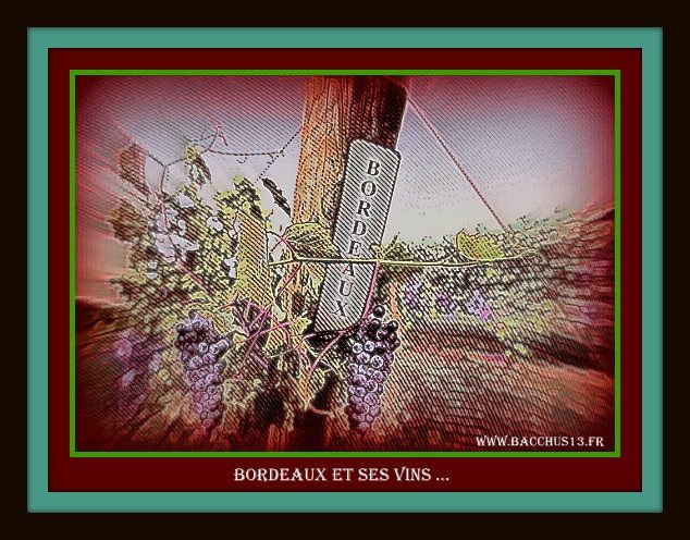 BORDEAUX et SES VINS -