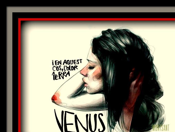    - VENUS DE CARTOIXA   - Assemblage Blanc - D.O. MONTSANT - Région - CATALOGNE - Producteur : VENUS LA UNIVERSAL - ESPAGNE -