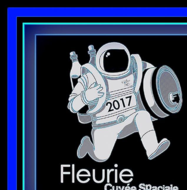  - Fleurie - 2017 - Cuvée Spaciale - Domaine du Chateau de Grand Pré - 69820 à Fleurie - Famille Zordan - 