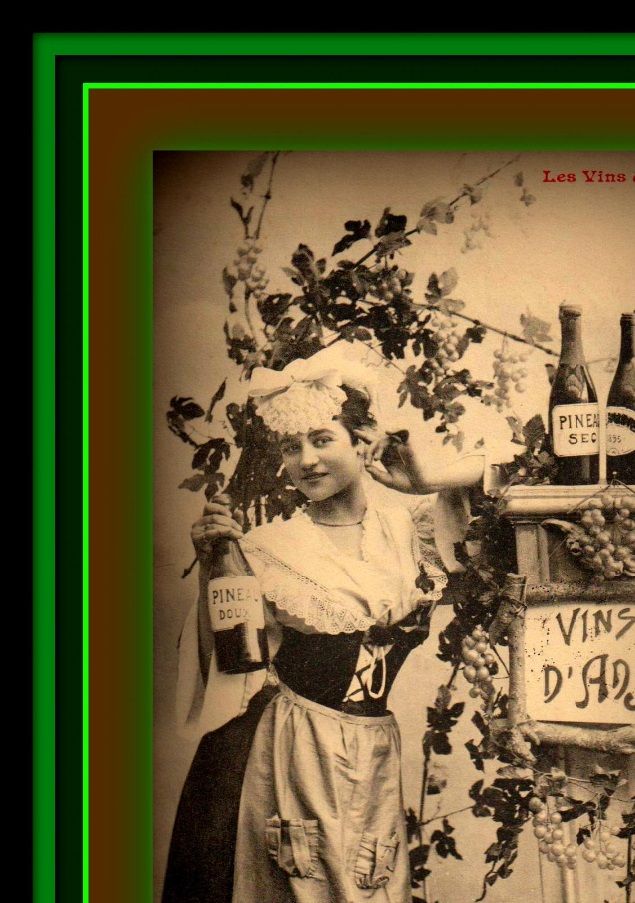 Carte Postale Ancienne - Années 1900 - Vins D'Anjou - 