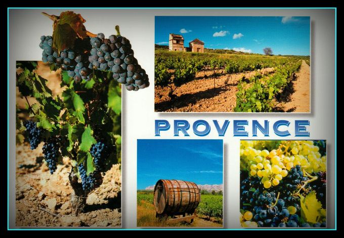  au Coeur du vignoble de Provence -
