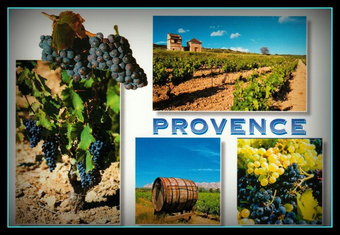  au Coeur du vignoble de Provence -